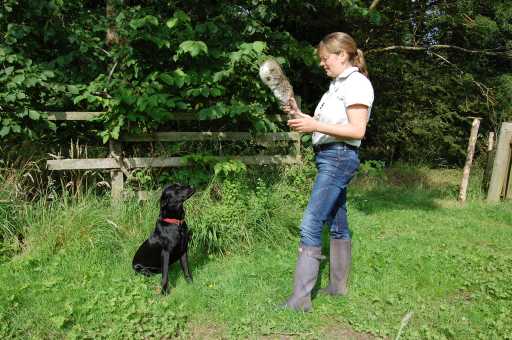 Jane & Bess